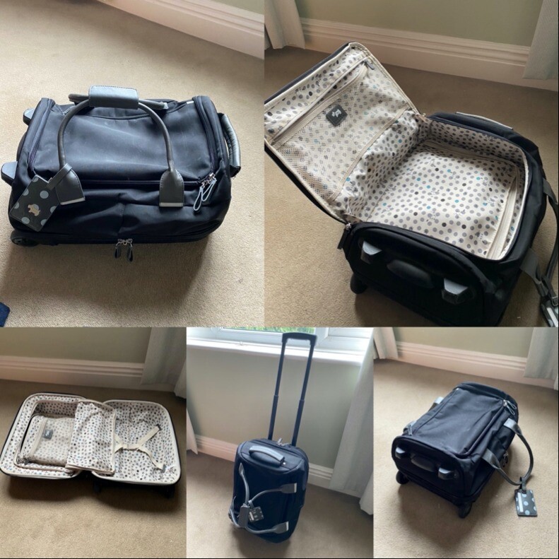radley cabin bag sale